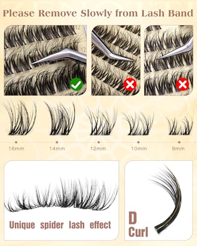 Spider Lash Clusters Wispy Eyelash Extensions 8-16mm