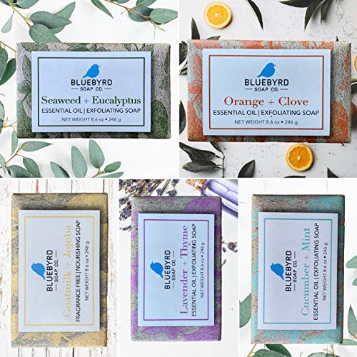 BLUEBYRD Soap Co. 5-Pack Variety Set Exfoliating Essential Oil Soap Bars | 100% Vegan Natural Bar Soap Gift | Cucumber Mint, Goat Milk Jojoba Oil, Lavender Thyme, Orange Clove, Seaweed Eucalyptus(SET)