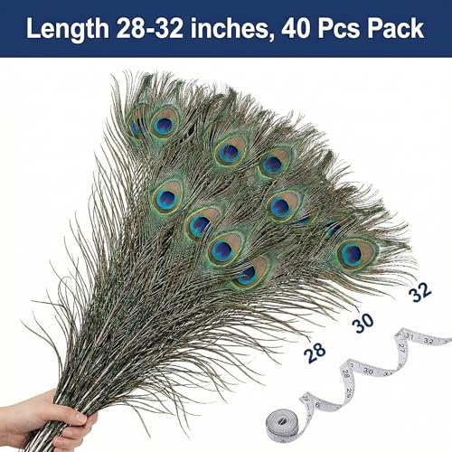 40 Pcs Natural Peacock Feathers 28-32 Inch for Vases & Decor