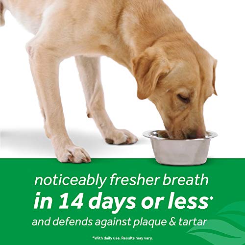 TropiClean Fresh Breath Plus Glucosamine for Hips & Joint Health | Dog Breath Water Additive | Dental Care | Dog Breath Freshener | Simple Pet Teeth Cleaning | Made in USA | 16 oz