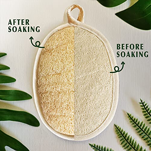 Natural Loofah Sponge Exfoliating Body Scrubber 3 Pack