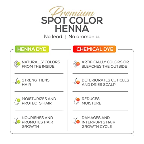 Parallel Products Henna Hair Color Kit - Professional Spot Coloring