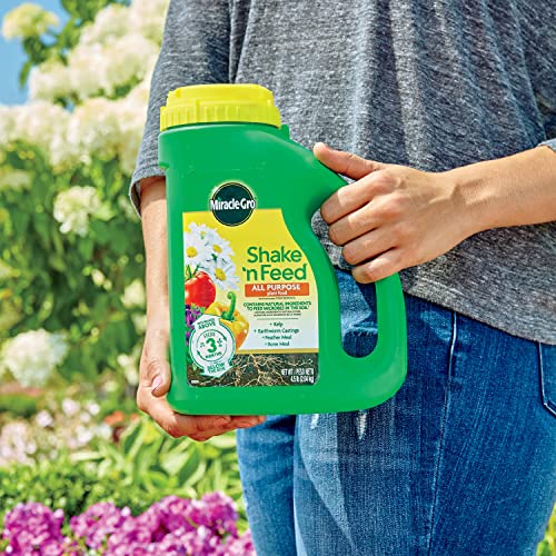 Miracle-Gro Shake 'N Feed All Purpose Plant Food 4.5 lb (3 Months) All Purpose
