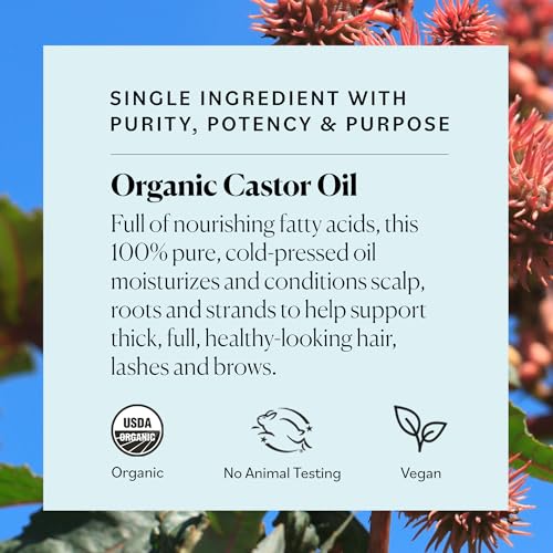 ORS Olive Oil Style and Curl Smooth-N-Hold Pudding - Curl Style Milk Infused with Collagen & Avocado Oil for Strength & Length - Bundle