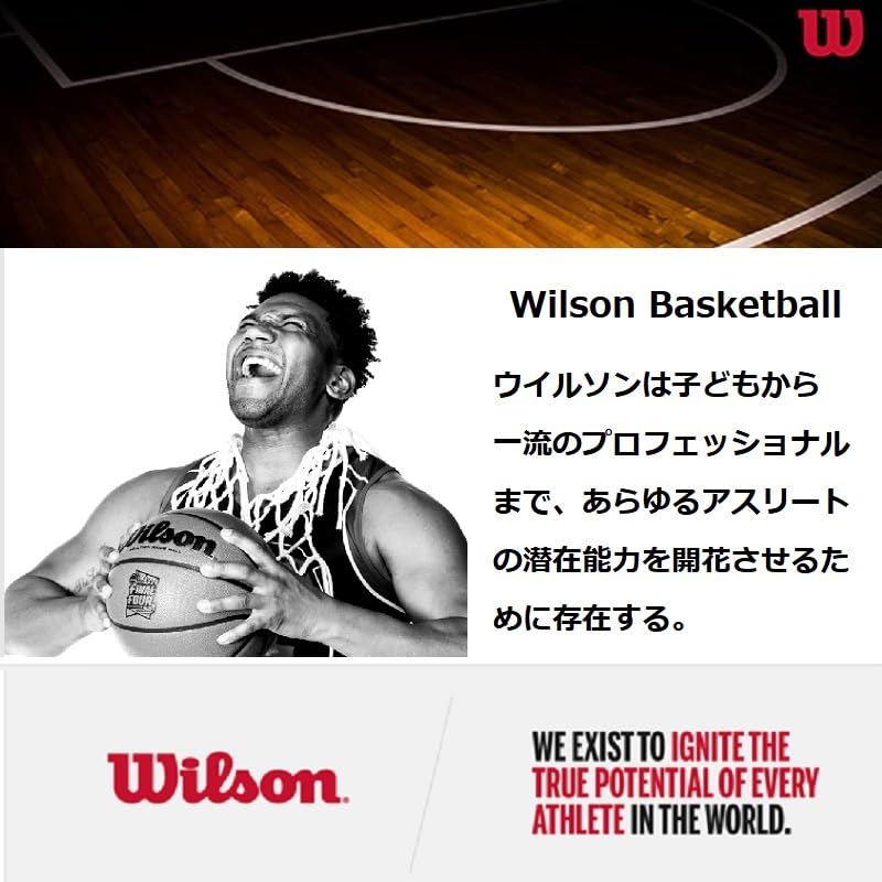 Wilson NBA Authentic Basketball - Indoor/Outdoor, Size 7 - 29.5 inch