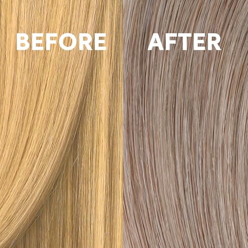 COLORCHARM Permanent Liquid Hair Toner for Blonde