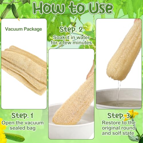6 Pack Natural Loofah Sponge 15.7 Inch for Kitchen Bath & Body Scrub Organic Exfoliating Sponge for Dishes Skin Men Women