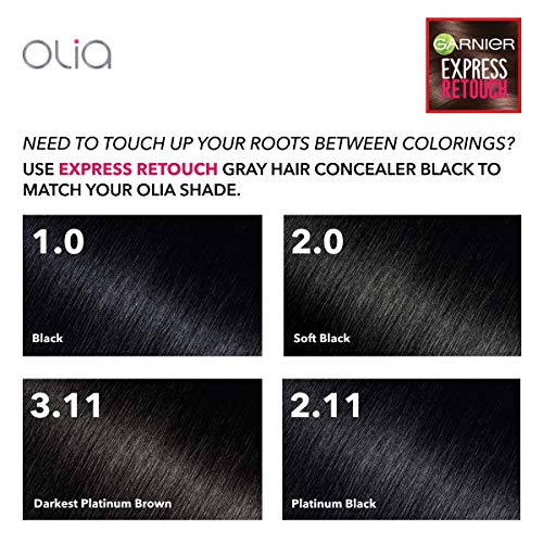 Garnier Express Retouch Gray Hair Concealer - Black