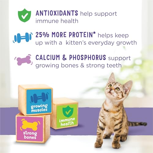 Purina Kitten Chow Dry Kitten Food, Nurture Muscle + Brain Development - (4) 6.3 lb. Bags