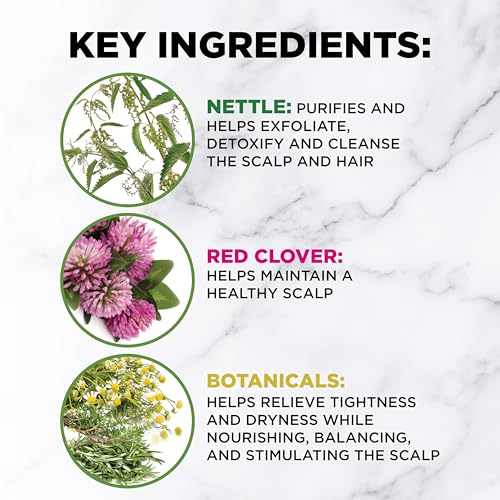CHI PowerPlus Renewing Haircare Starter Kit, Includes Shampoo, Conditioner & Scalp Treatment, Anti-Shedding & Healthy Hair Renewal System