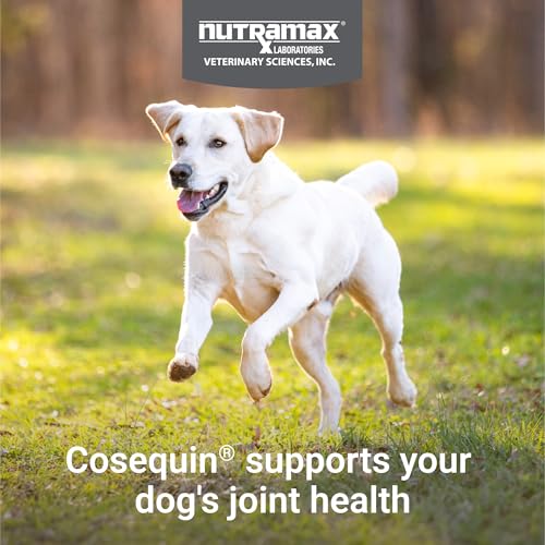 Nutramax Cosequin Joint Health Supplement for Dogs, 132 Chewable Tablets
