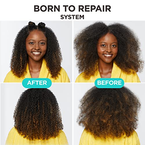 Carol's Daughter Born To Repair Reviving Hair Oil, Moisturizing, Anti Frizz Hair Care for Curly Hair with Shea Butter, 11 Fl Oz