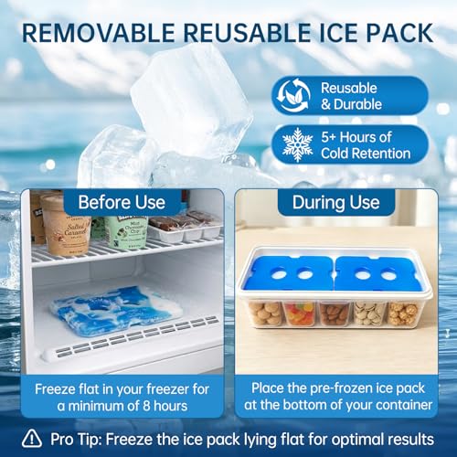 Snackle Box 10-Compartment Chilled Serving Tray with Ice Packs