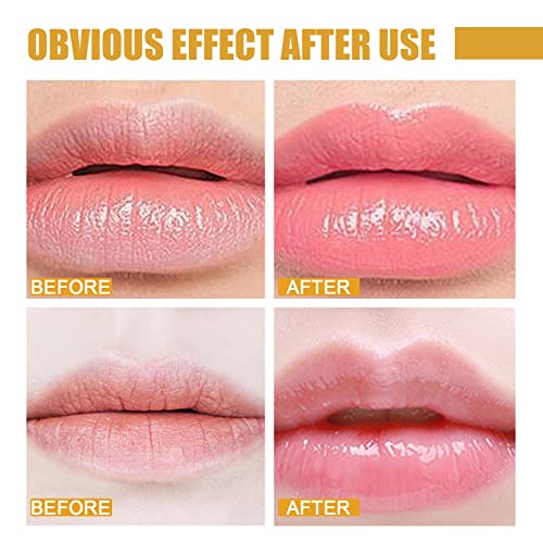 4 Pcs Lip Balm Honey Pot, Honey Moisturizing Lip Mask Reduces Lip Lines,Prevention Dry and Cracked Lip Scrubs Exfoliator.