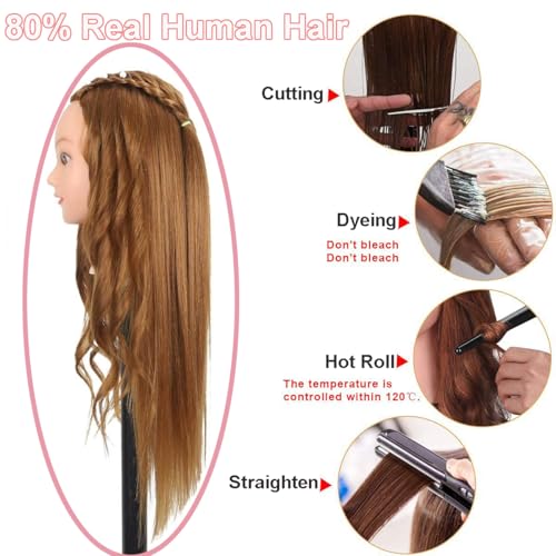 80% Human Hair Mannequin Head 26-28" Cosmetology Training