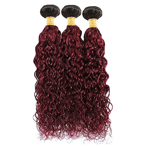 Burgundy Ombre Water Wave Human Hair Bundles 30-32-34 Inch