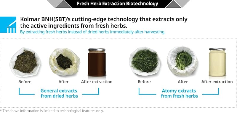 Korean BB Cream Skin Tone Corrector - Lightweight Coverage