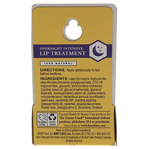 Burt's Bees Overnight Intensive Lip Treatment, 0.25 oz - Moisturizing, Restorative, Reduces Fine Lines, Vitamin E, Ceramides Oils, Leaping Bunny Certified, Compact Jar