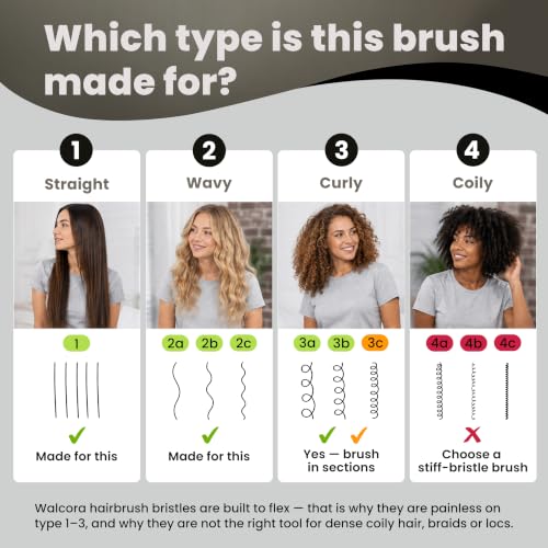 Walcora Black Detangler Brush for Wet & Dry Hair - Pain-Free, Gentle Hairbrush for Women, Men & Kids