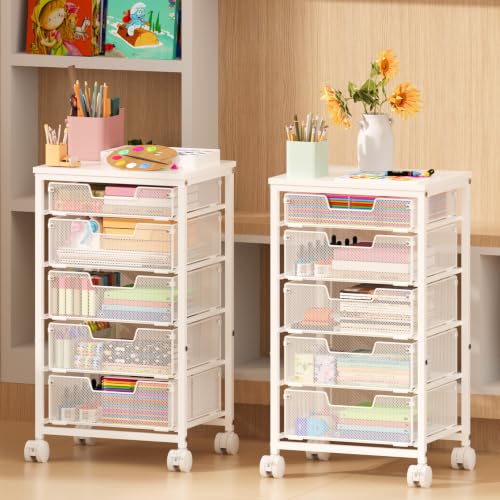 Sbanmao 5-Drawer Rolling Storage Cart with Lockable Wheels