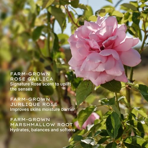 Jurlique. - Rare Rose Serum