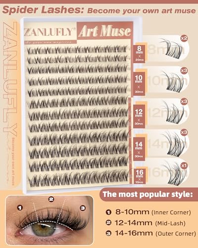 Spider Lash Clusters D Curly 8-16mm Clear Band Eyelash Extensions