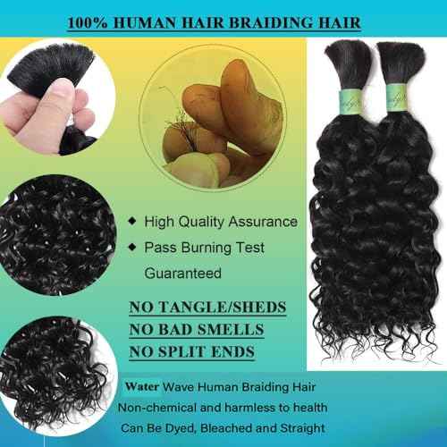 Human Braiding Hair 22inch Human Hair for Boho Knotless Braids No Weft Human Braiding Hair Extensions for Box Boho Braids 100g With 2 Bundles