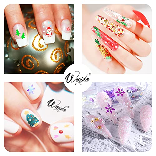 Wenida 9 Bottle Holographic Christmas Glitter Set