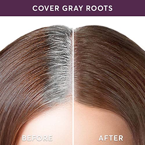 Madison Reed Root Touch Up + Brow Filler, Terra Medium Brown