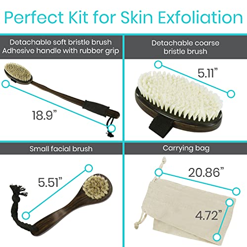 Vive Dry Brush Set for Lymphatic Drainage (3 Pieces) - Brushing Scrubber for Exfoliating, Body Cellulite and Skin Massage - 100% Natural Boar Hair Bristles, 14¡± Long Dark Wooden Handle w/Storage Bag