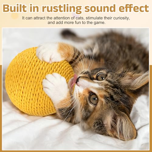 Sisal Cat Toy Ball, Interactive Scratching Balls for Kittens - 2Pc Set