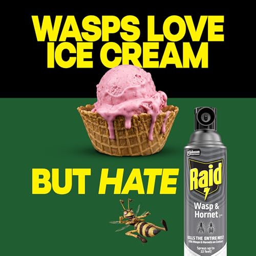 Raid Wasp & Hornet Killer Spray, 14 oz, 2-Pack