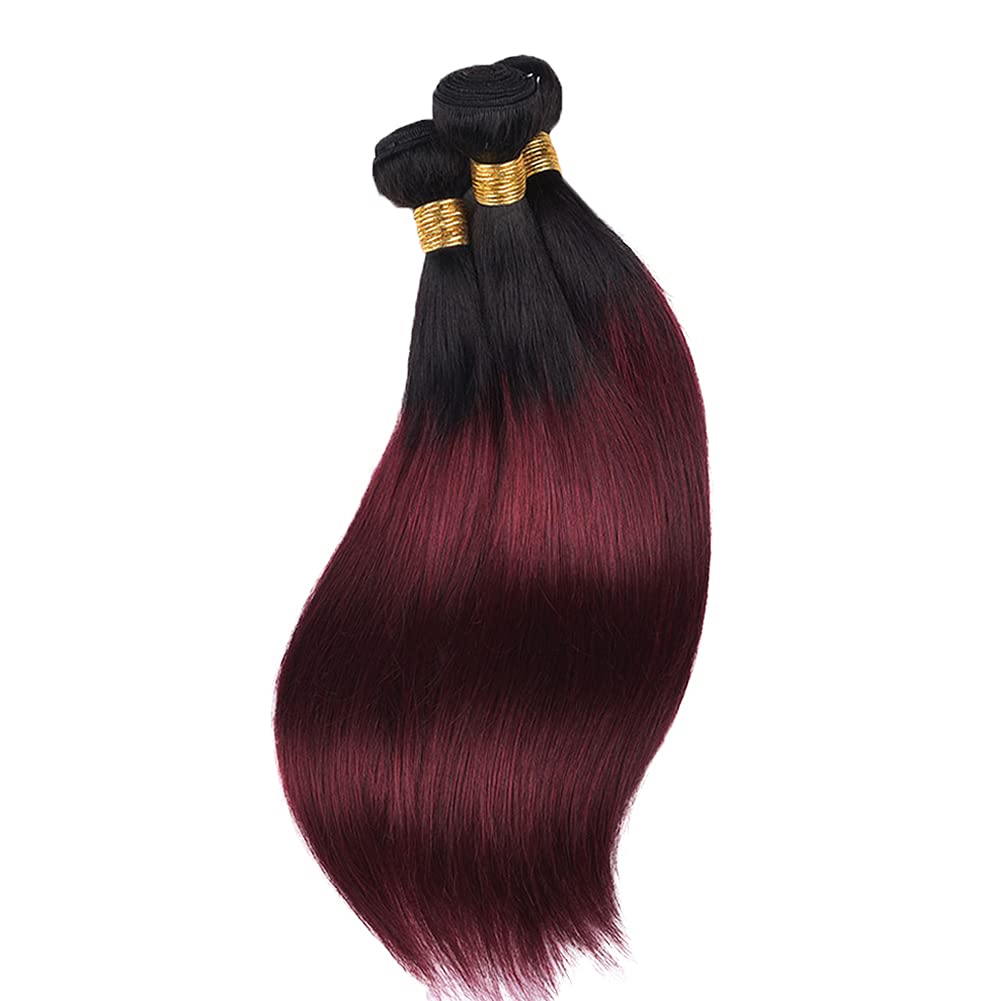 24 26 28 Inch Burgundy Human Hair Bundles Ombre 1b99j Bundles Brazilian Straight Remy Hair 3 Bundles Red Straight Bundles Human Hair Double Weft Hair Extensions for Black Women 100g/Pc