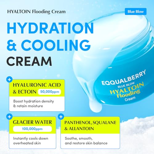 EQQUALBERRY Hyaluronic Acid & Glacier Water Hydrating Gel Cream 50ml