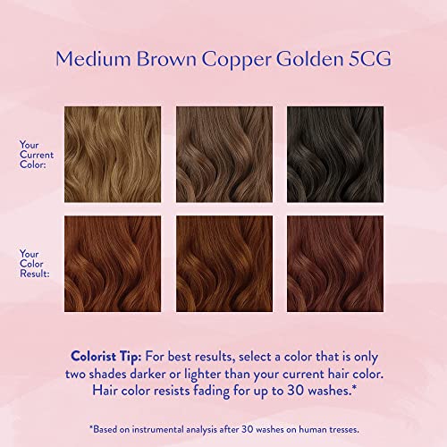 eSalon Permanent Hair Color Kit - Medium Brown Copper Golden 5CG, Ammonia-Free, Gray Coverage