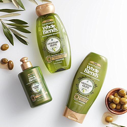 Garnier Whole Blends Replenishing Shampoo Legendary Olive, Dry Hair, 22 fl. oz.