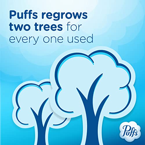 Puffs Ultra Soft Facial Tissues, 1 Family Size Box, 124 Facial Tissues Per Box