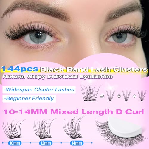 wiwoseo Natural Lash Clusters Wispy Eyelash Clusters Russian Lashes Clusters Lashes Natural Look Eyelashes Cluster Eyelash Extensions Individual Lashes for Beginners (10-14MM)