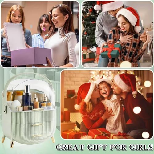 Makeup Organizer for Vanity, Cosmetics Skincare Organizers with Lid and Drawers, Cosmetic Display Cases for Countertop Bathroom Dresser, Ideal Gifts for Brush Lipstick Perfume Jewellry