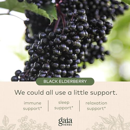 Gaia Herbs Black Elderberry, Nighttime Syrup - Immune Support Supplement - with Organic Black Elderberries, California Poppy & Lemon Balm for Restful Sleep & Immune Defense - 3 Fl Oz (18-Day Supply)