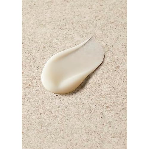 The Body Shop Tea Tree In-Control Hydrator, For Oily, Blemished Skin, Vegan, 1.35 Fl Oz