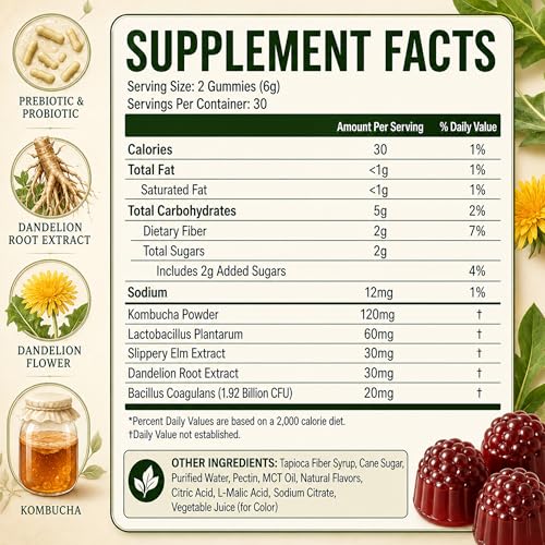 Kombucha Probiotic Gummies - Gut Health & Digestion Support, 60 Count