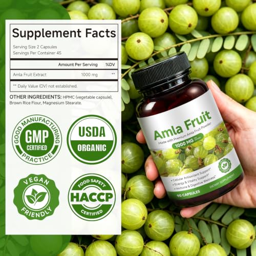 JYVGNLXS 1 Bottle - 90 Vegan High-Potency Amla Capsules for Cellular Support & Wellness