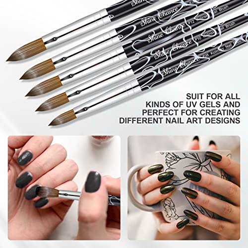 Shine Chance Acrylic Nail Art Brush Size 16, 100% Pure Kolinsky Hair Oval Nail Brush for Acrylic Application, Professional Nail Extension Manicure Tool Striping Nail Drawing Pen for DIY Home Salon