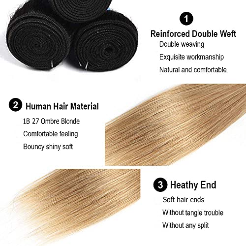 Ombre Straight Human Hair Bundles 1B/27 Honey Blonde 3 Pack