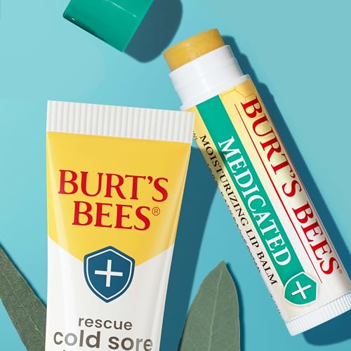 Burt's Bees Medicated Lip Balm with Eucalyptus & Menthol, 2 Tubes