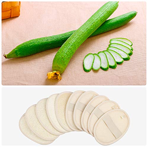 10-Pack Natural Luffa Loofah Sponge - Body Exfoliator