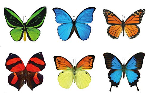 Large Butterfly Temporary Tattoos | 6 Sheets Water-Applied