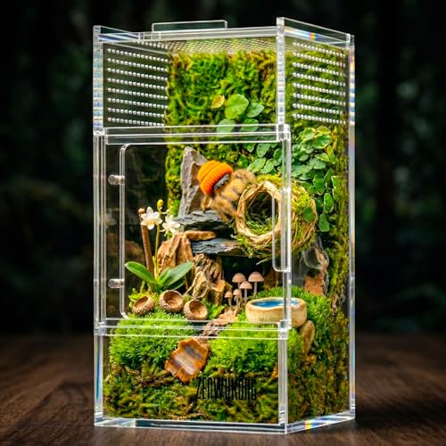 ZENWUKONG 3x3x6 Inch Jumping Spider Enclosure Acrylic Terrarium Habitat with Magnetic Doors