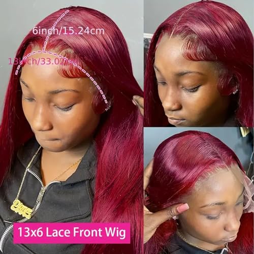 Burgundy 13x6 HD Lace Front Human Hair Wig 180% Density 28"